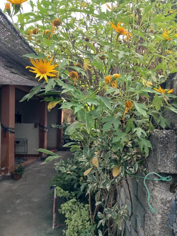 Melbao Homestay Gili Air Exterior photo